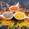 Grains and Pulses