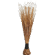 African Broom Large