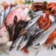 Dried & Frozen Fish