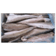 Silver Hake 1000+ Head/Tail Less