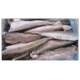 S Hake 1000/1500 Head/Tail Less