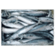 J/H/Thomson Mackerel 500/900